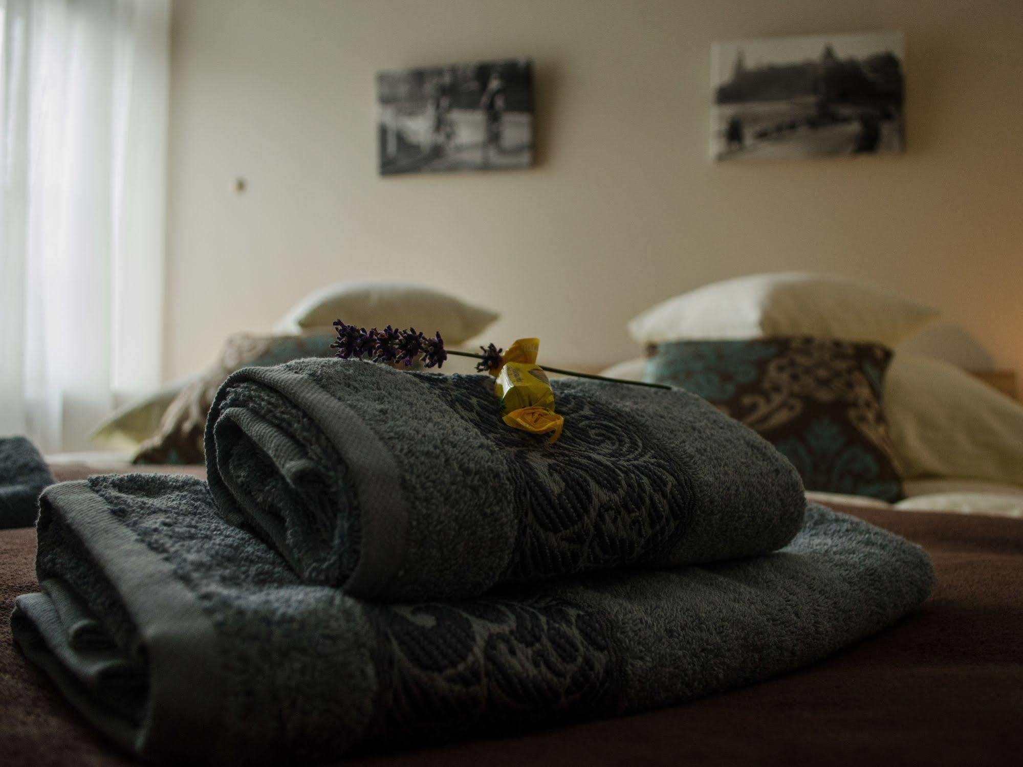 Royal Route 29 Comfort Rooms Cracovia Exterior foto